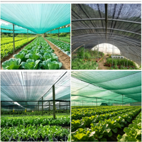 Zonwerend net HDPE geweven UV-bestendig schaduwdoek voor landbouw, kas, plantenbescherming, koeling, tuin