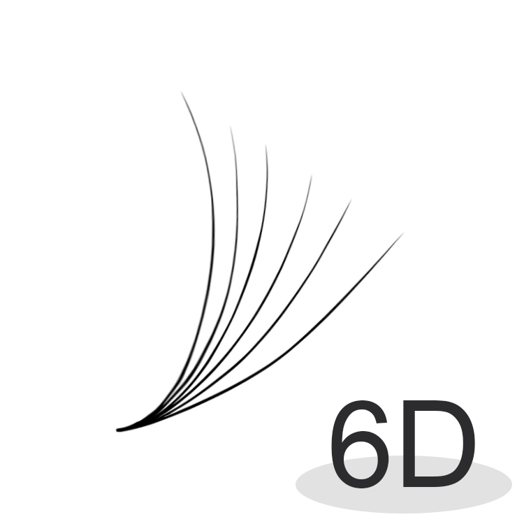 6D