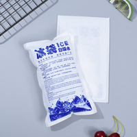 Pack de gel réutilisable Injection d'eau 100ml 180ml 250ml 400ml 550ml pour les aliments frais expédition emballage de la chaîne du froid