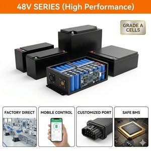 Paquetes de Baterías de Iones de Litio Certificados de 48V, Serie 15Ah 20Ah 25Ah 30Ah 35Ah 50Ah 65Ah 80Ah, Directo de Fábrica, Fabricante LFP OEM LF - Product Image 1