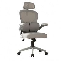 Chaise de bureau ergonomique, vente directe d'usine, chaise de bureau avec dossier en maille et soutien lombaire réglable, faible MOQ OEM ODM