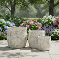 Pots à fleurs en ciment légers de style nordique, design classique et simple, imperméables, écologiques, vente en gros, jardinières