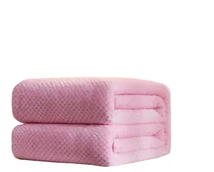 厂家供应批发菠萝天鹅绒毛毯柔软高品质沙发办公室毛毯