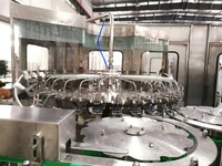 Table minérale à bulles de bouteilles en plastique de qualité King Machines de fabrication de remplissage d'eau potable encore pour les idées de petites entreprises