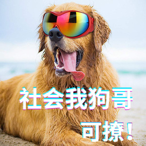 Lunettes de soleil pour chien avec verres miroir à monture intégrale, protection UV 100 %, pour sports de plein air - Product Image 5