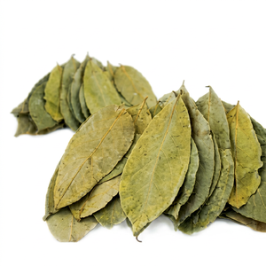 Feuilles de Cassia Séchées Biologiques Ingrédient Naturel pour Tisane Origine Vietnam Nettoyées pour Infusion/Amande - Product Image 1