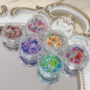 Arte de <span class=keywords><strong>uñas</strong></span> de estilo japonés pequeños estampados florales <span class=keywords><strong>flores</strong></span> secas <span class=keywords><strong>flores</strong></span> prensadas DIY arte de <span class=keywords><strong>uñas</strong></span> decoraciones florales - Product Image 1