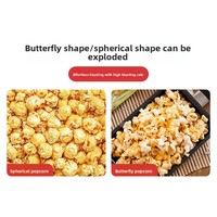 Machine à Popcorn Commerciale Automatique Personnalisée 6800W, Double Cuve Verticale 16 oz, Modèle Papillon Sphérique, 220V pour Cinéma