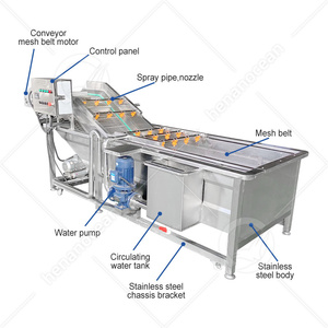 Machine à laver les fruits et légumes verts OCEAN Ultrasonic Olive Bubble Washer Chili Pepper Salad - Product Image 2