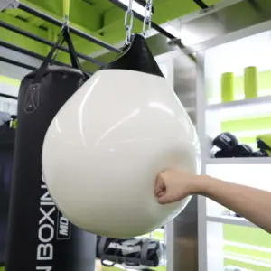 MDBuddy Hanging Water Punching Bag Training Boxing Bag Aqua Kicking Bags
