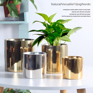 Op maat gemaakte keramische bloempot met gouden plating, eenvoudige Scandinavische stijl, geschikt voor meerdere groene planten, ronde keramische pot voor hydroponie. - Product Image 4