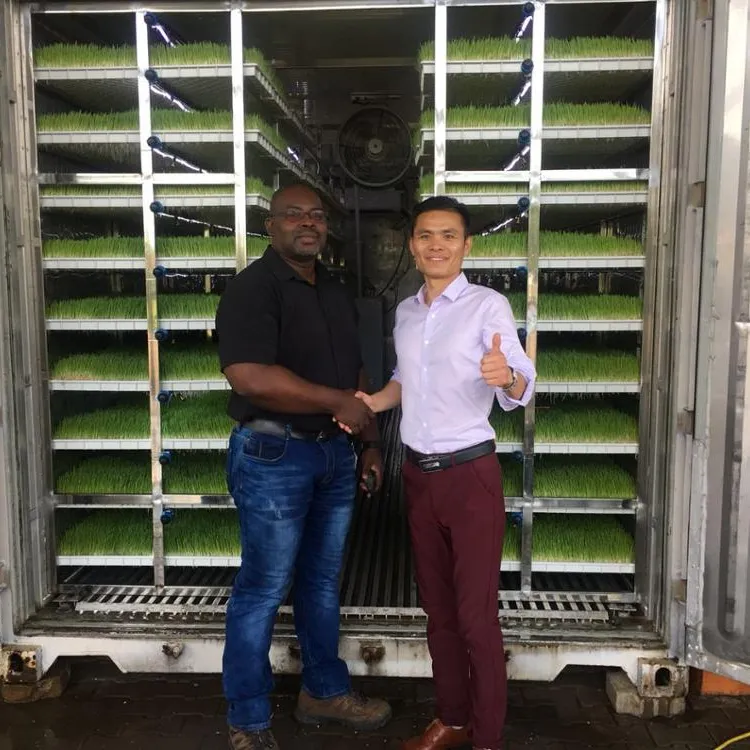 20ft 40hq  sea shipping container farm, farm container by China supplier hydroponic  fodder container full system