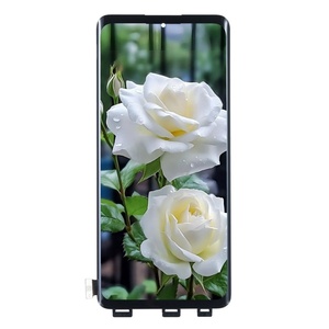 Pantallas LCD Originales para Teléfono Móvil Realme 11 Pro Plus, Pantalla Táctil Original con Marco de Vidrio y Digitalizador - Product Image 4