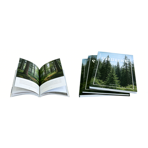 <strong>China</strong> Custom Saddle Stitching Softcover Book <strong>Printing</strong> Service with Digital <strong>Printing</strong> on Coated Paper-Wholesale - Product Image 3