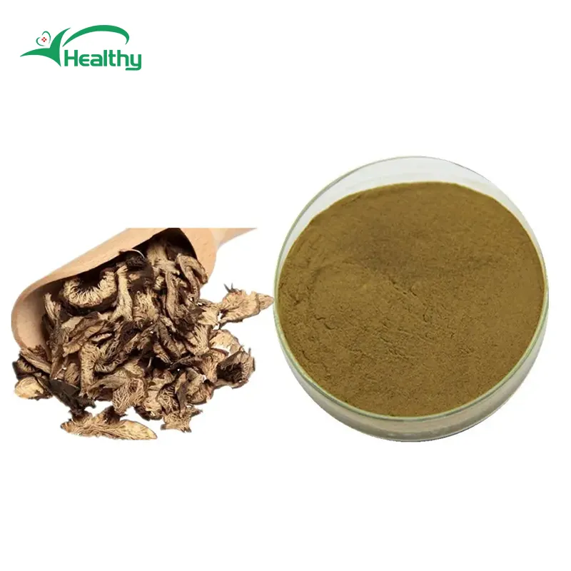 Best quality water soluble black cohosh extract black cohosh root extract black cohosh powder