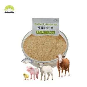 <span class=keywords><strong>Probióticos</strong></span> Bacillus Subtilis/Bacillus Licheniformis para Aves de Corral, 100 Mil Millones de UFC/g, Polvo Probiótico Animal, CAS 68038-66-4 - Product Image 1