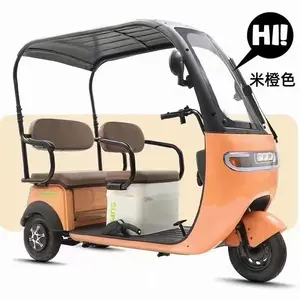 Competitive Price High Speed Leisure Tricycle Tricycle Electric Bike With Rain Cover