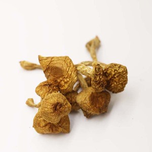 Hua Zi Gu The Split wholiota microspora เห็ด nameko เชื้อราสำหรับอาหาร - Product Image 2