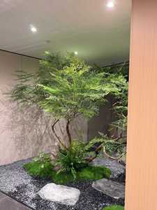 Arbre d'érable artificiel <span class=keywords><strong>en</strong></span> plumes japonaises, plante d'érable verte artificielle au toucher réel <span class=keywords><strong>en</strong></span> <span class=keywords><strong>pot</strong></span> pour la décoration de la maison, de l'hôtel, de la villa et du paysage - Product Image 3