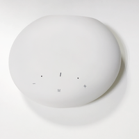WiFi Müzik Akış Cihazı Hifi Stereo Sınıf D DAC DSP Ses Alıcısı Ev Amfisi CL-BOX A98