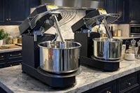 Fabrieksmodel borstelloze motor 850W 11-speeds kantelbare kop verwijderbare kom brood pizza amasadora spiraal deegmixer 15L 6Kg