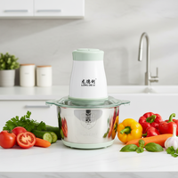 Blender portable électrique en acier inoxydable de 2 L, robot culinaire multifonction et mini hachoir à viande pour usage en restaurant