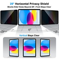 Protection d'écran anti-espion personnalisable en gros pour iPad 10e génération 10,9 pouces, film souple en PET résistant aux rayures