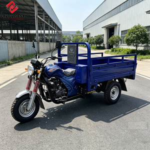 Motocicleta de Carga de 3 Ruedas Motorizada para Cargas Pesadas, Triciclo con Capacidad de Carga de 800 kg, Trimotos de Gasolina de <span class=keywords><strong>200</strong></span> cc Personalizadas - Product Image 1