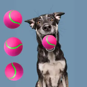 מחיר המפעל מותאם אישית צבע גומי כלב אינטראקטיביים ללעוס כדור טניס אימון לוגו כלב כדור