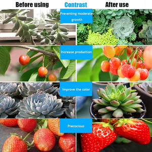 Лидер продаж, LM301H Evo <span class=keywords><strong>Mars</strong></span>, гидравлическая Светодиодная лампа для роста, эффективная лампа для выращивания растений в помещении - Product Image 6