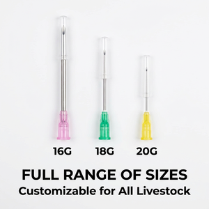 Aiguilles vétérinaires à embout moleté en acier inoxydable pour seringues à vaccin, pour diagnostic et injection animale - Product Image 2