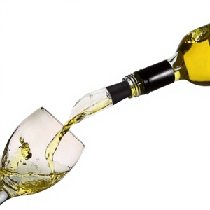 Popular Enfriador de Botellas de Vino de Acero Inoxidable 3 en 1 con Aireador y Vertedor - Product Image 1