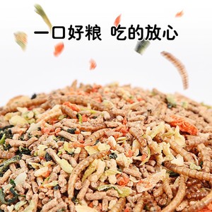 Cibo nutriente per uccelli come i gappi e gli storni, mangime speciale per storni neri e altri uccelli, confezione da 2,5 kg - Product Image 3