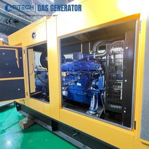 Générateurs électriques silencieux insonorisés <span class=keywords><strong>au</strong></span> <span class=keywords><strong>gaz</strong></span> naturel Ritech Manufacturer Cummins Weichai 200kW 250kW 300kW 500kW - Product Image 4