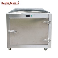 SYSMEDPALACE - Equipo de Morgue Confiable, Congelador de Transporte de Cadáveres para Hospitales