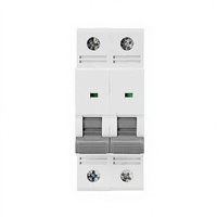 Disjoncteur miniature électrique AC en cuivre GYM9-125AC 2P 6kA 63-125A Courbe BCD C 400V avec polyester pour rail DIN
