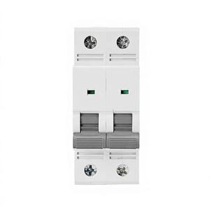 Interruptor de Circuito Eléctrico Mini AC de 2 Polos, 400V, Cobre, 6kA, 63-125A, GYM9-125AC, para Riel DIN - Product Image 3