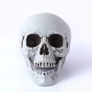 Presente Halloween Estátua Crânio Branco Resina Crânio Escultura Decoração Crânio Branco