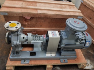 Bomba Centrífuga Mini de Circulación de Aceite Caliente Eléctrica Horizontal de Alta Calidad LQRY para Venta al Por Mayor - Product Image 3