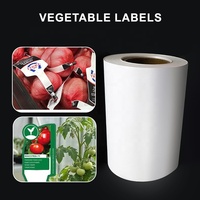 Papier synthétique PP imprimable résistant aux intempéries XUECHENG, feuille anti-âge pour étiquettes de fruits, légumes, cultures et pépinières