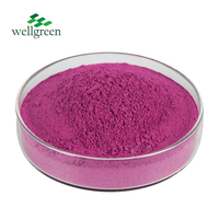 Bulkverkoop Gevriesdroogd Rood Dragon Pitaya Fruitpoeder Gratis Monster Gevriesdroogd Drakenfruit Poeder