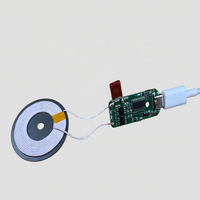 Chargeur sans fil Qi, carte de circuit imprimé PCBA, bobine d'induction, port micro USB, 5V 9V 10W 15W Powerway