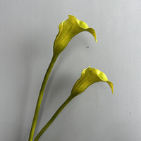 Bunga Calla Lily Lotus Buatan Plastik Real Touch 75CM, Tangkai Tunggal Warna Putih Burgundy untuk Dekorasi Meja Rumah, Pernikahan, Hari Ibu