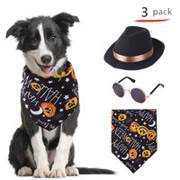 En gros : Costume de fête pour animaux de compagnie, Chapeau pour animaux, Bandana pour chat, Vêtements pour chien pour Halloween, Ensemble de déguisement d'Halloween pour animaux