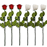 Großhandel Konservierte Rote und Weiße Langstielige Echte Rosen Ewige Blumen für Immer Haltend Valentinstag Geschenkblumen