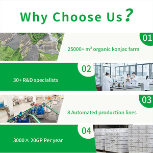 <span class=keywords><strong>ส</strong></span>ลัดบะหมี่กึ่งสำเร็จรูปจากเคโตะตัวหนาไม่มีกลูเตนคาร์โบไฮเดรตต่ำ - Product Image 6