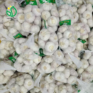 <span class=keywords><strong>Ajo</strong></span> Fresco de China, <span class=keywords><strong>Precio</strong></span> al por Mayor de Caja de 10 kg, Bolsa de 200 g, Proveedor de <span class=keywords><strong>Ajo</strong></span> <span class=keywords><strong>Elefante</strong></span> - Product Image 6