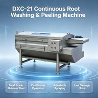 DXC-21 Continue Wortelgroentewas- en Schilmachine SUS304 RVS Aardappel Gember Wortel Verwerkingsapparatuur