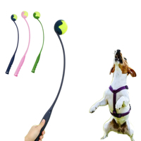 Jouet interactif écologique en plastique pour animaux de compagnie, en PP, avec balle de tennis en caoutchouc intégrée pour le jeu quotidien et l'exercice des molaires, emballé dans un sac