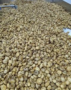 DETAN Atacado Frutas e Vegetais Snacks Crispy Vacuum Fried <span class=keywords><strong>Seafood</strong></span> <span class=keywords><strong>Mushroom</strong></span> Chips - Product Image 3